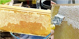 吉林长白山基地