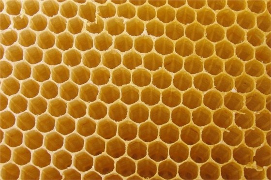 蜂蜜原料批发